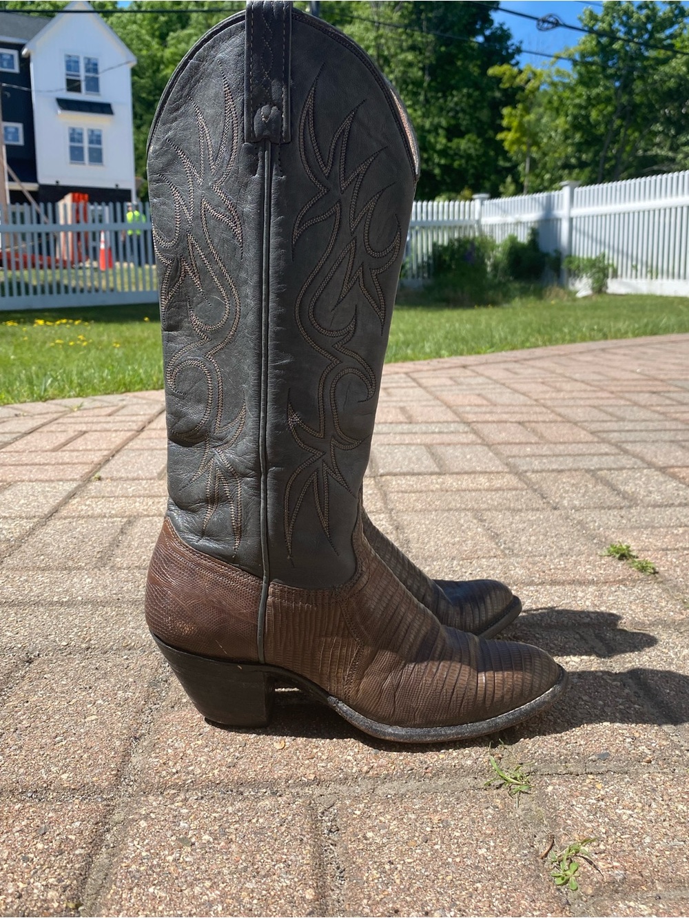 Classic Brown Leather Lizard Gray Woman’s Boots